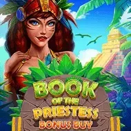 Book of the Priestess Bonus BuyEvoplay game thumbnail